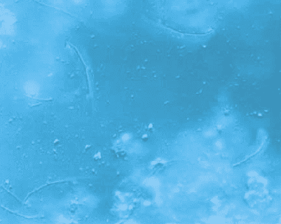 Pure Oxygen Aeration